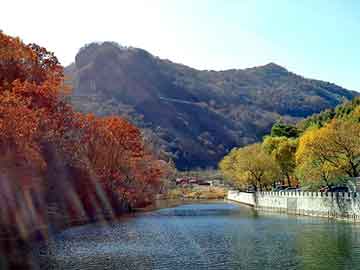 新澳天天开奖资料大全旅游团，御泥坊的产品怎么样